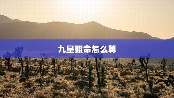 九星照命怎么算