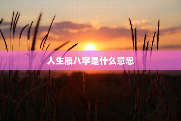人生辰八字是什么意思