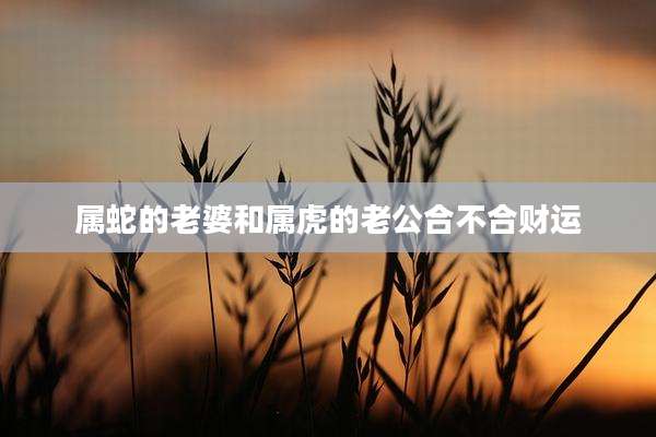 属蛇的老婆和属虎的老公合不合财运