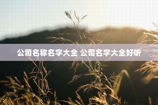 公司名称名字大全 公司名字大全好听