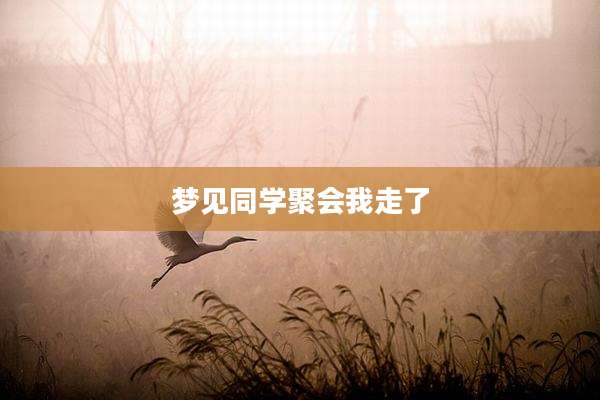 梦见同学聚会我走了