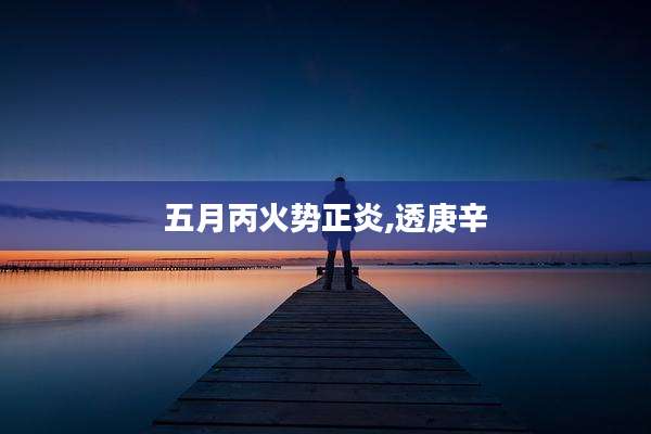 五月丙火势正炎,透庚辛