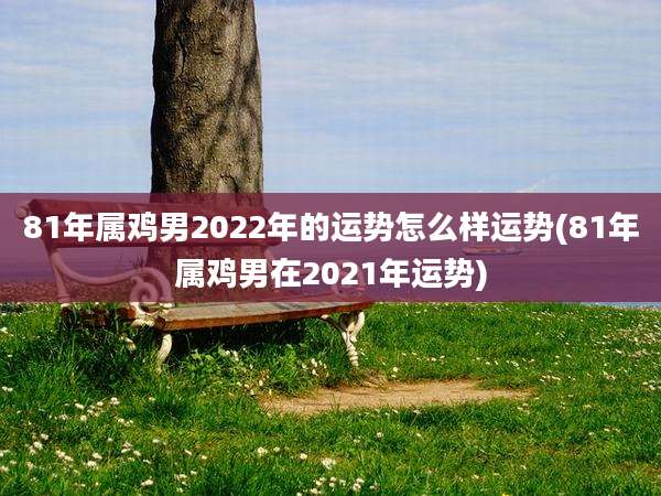 81年属鸡男2022年的运势怎么样运势(81年属鸡男在2021年运势)