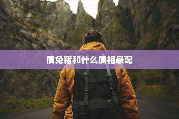 属兔猪和什么属相最配