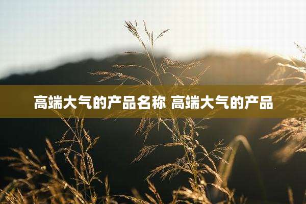 高端大气的产品名称 高端大气的产品