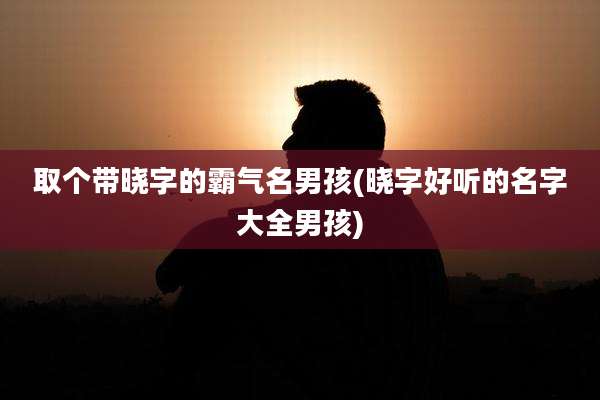 取个带晓字的霸气名男孩(晓字好听的名字大全男孩)