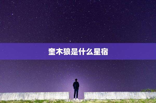 奎木狼是什么星宿