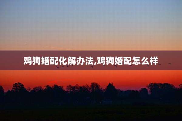 鸡狗婚配化解办法,鸡狗婚配怎么样