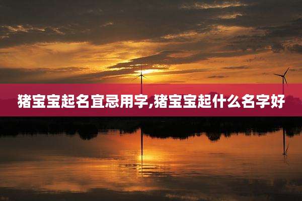 猪宝宝起名宜忌用字,猪宝宝起什么名字好