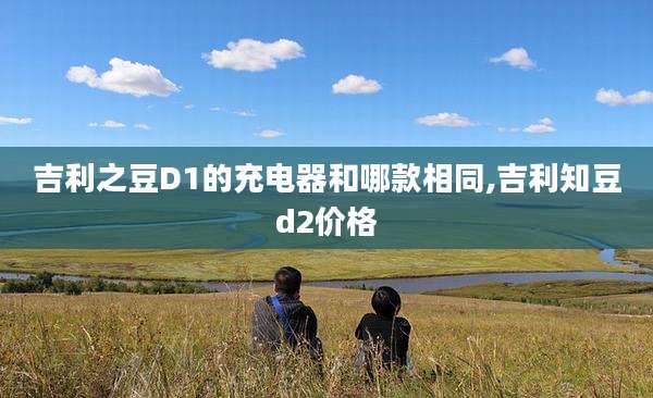 吉利之豆D1的充电器和哪款相同,吉利知豆d2价格