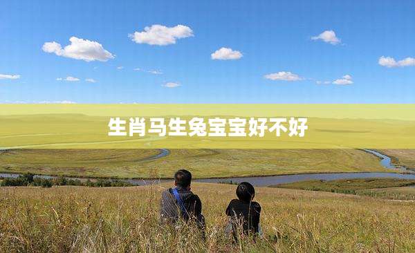生肖马生兔宝宝好不好