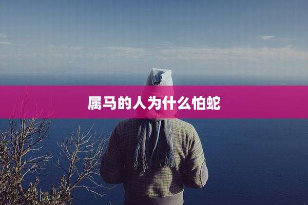 属马的人为什么怕蛇
