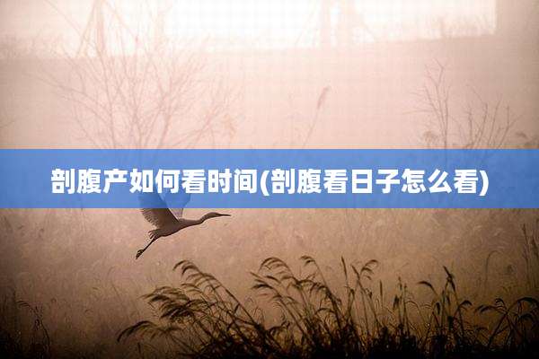剖腹产如何看时间(剖腹看日子怎么看)