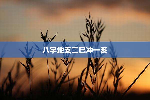 八字地支二巳冲一亥