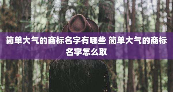 简单大气的商标名字有哪些 简单大气的商标名字怎么取