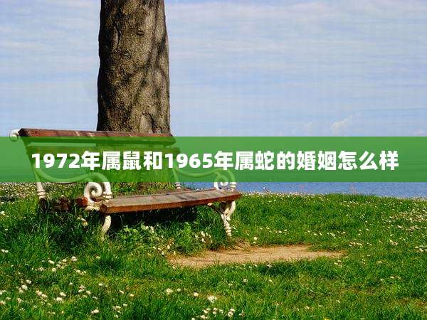 1972年属鼠和1965年属蛇的婚姻怎么样