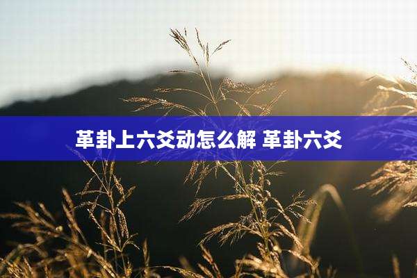 革卦上六爻动怎么解 革卦六爻