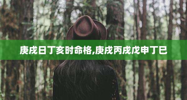 庚戌日丁亥时命格,庚戌丙戌戊申丁巳