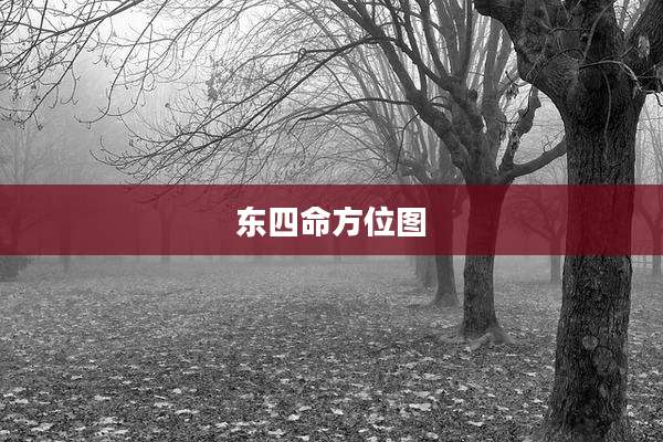 东四命方位图