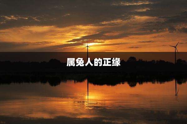 属兔人的正缘