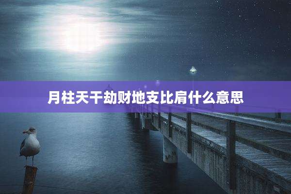月柱天干劫财地支比肩什么意思