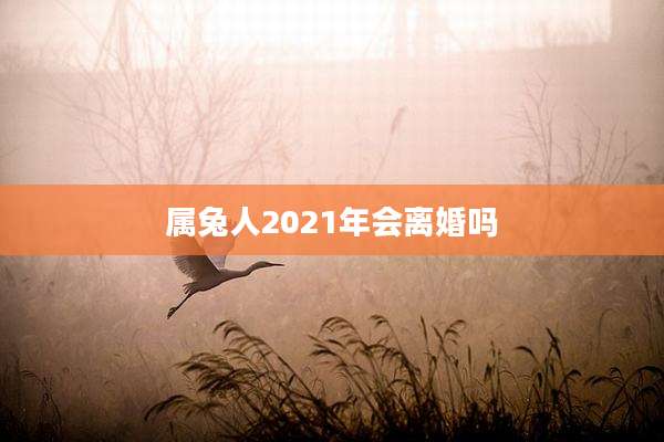 属兔人2021年会离婚吗
