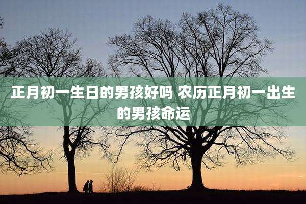 正月初一生日的男孩好吗 农历正月初一出生的男孩命运