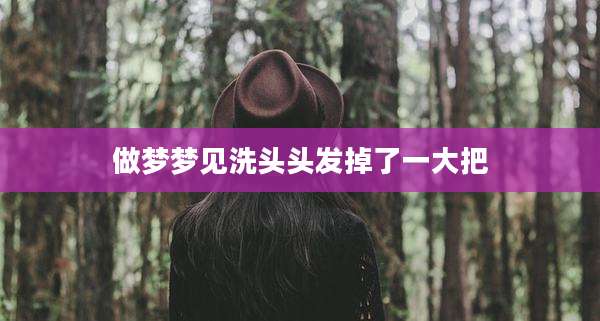 做梦梦见洗头头发掉了一大把