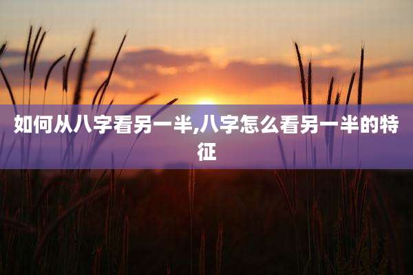 如何从八字看另一半,八字怎么看另一半的特征