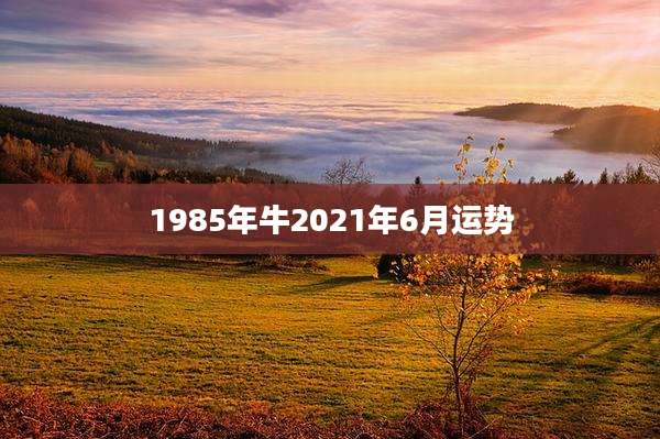 1985年牛2021年6月运势