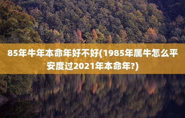 85年牛年本命年好不好(1985年属牛怎么平安度过2021年本命年?)