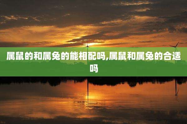 属鼠的和属兔的能相配吗,属鼠和属兔的合适吗