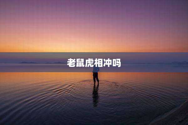 老鼠虎相冲吗