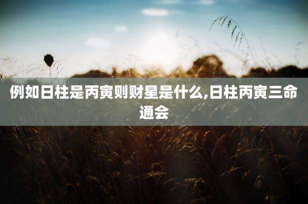 例如日柱是丙寅则财星是什么,日柱丙寅三命通会