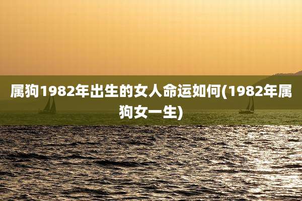 属狗1982年出生的女人命运如何(1982年属狗女一生)