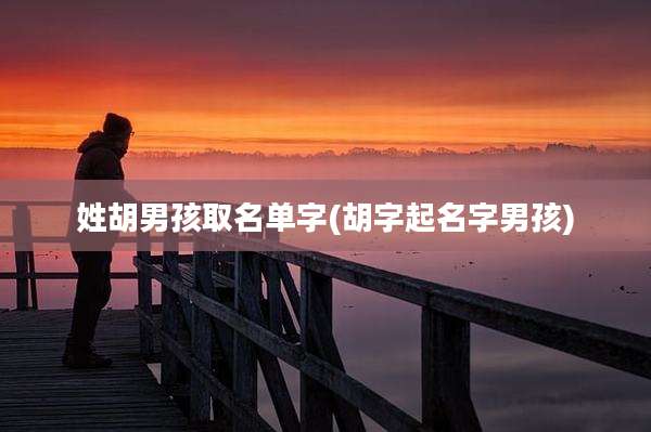 姓胡男孩取名单字(胡字起名字男孩)