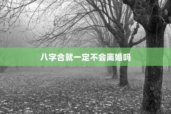 八字合就一定不会离婚吗