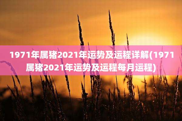 1971年属猪2021年运势及运程详解(1971属猪2021年运势及运程每月运程)