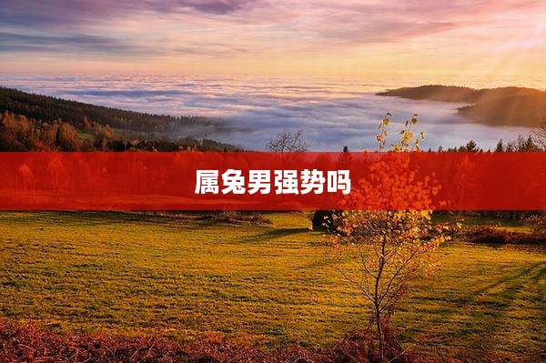 属兔男强势吗