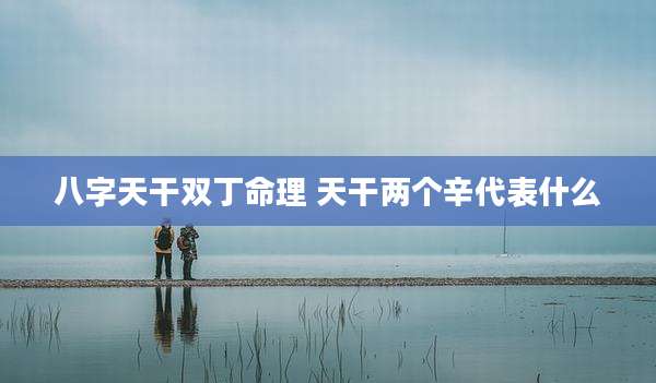八字天干双丁命理 天干两个辛代表什么