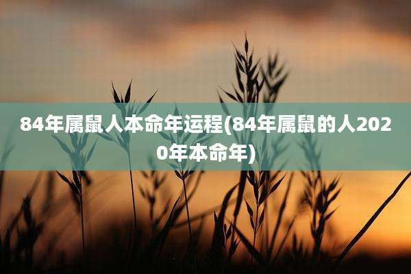84年属鼠人本命年运程(84年属鼠的人2020年本命年)