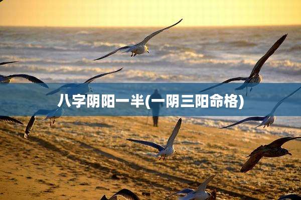 八字阴阳一半(一阴三阳命格)