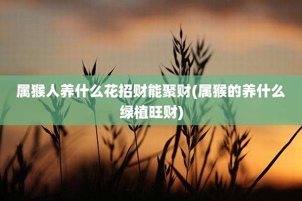 属猴人养什么花招财能聚财(属猴的养什么绿植旺财)
