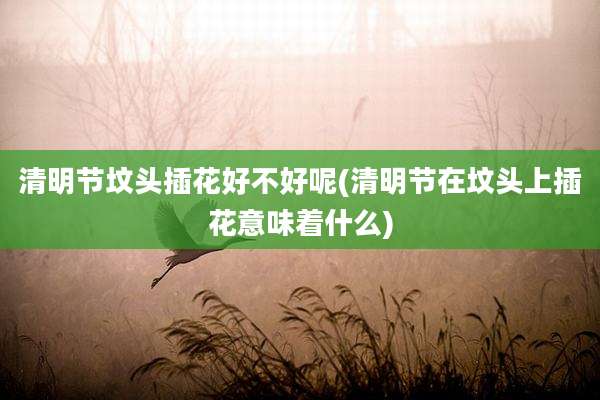 清明节坟头插花好不好呢(清明节在坟头上插花意味着什么)