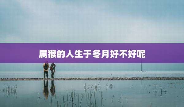 属猴的人生于冬月好不好呢