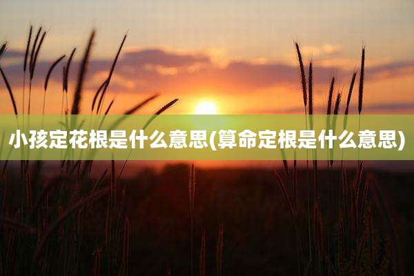 小孩定花根是什么意思(算命定根是什么意思)