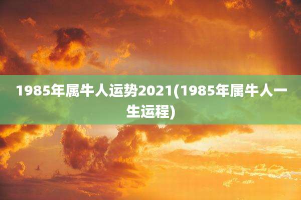 1985年属牛人运势2021(1985年属牛人一生运程)