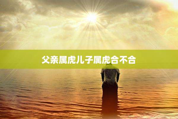 父亲属虎儿子属虎合不合