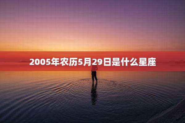 2005年农历5月29日是什么星座