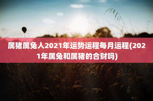 属猪属兔人2021年运势运程每月运程(2021年属兔和属猪的合财吗)
